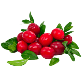 Cranberry