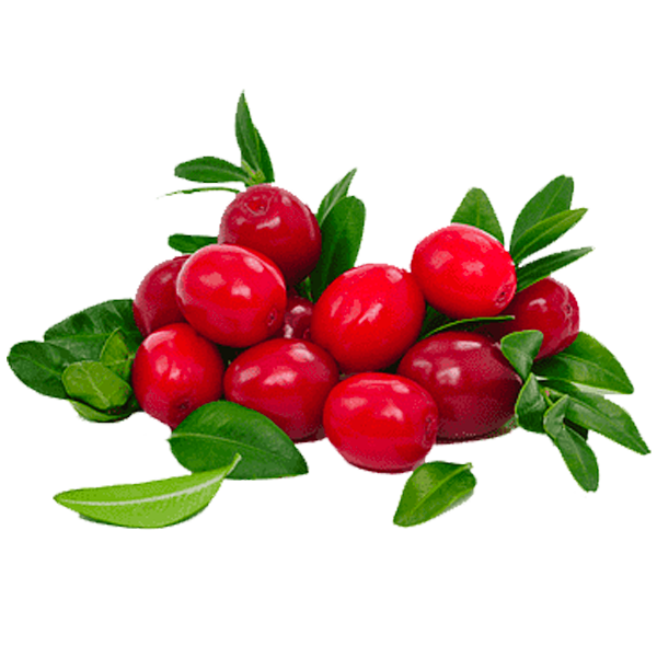 cranberry-resize